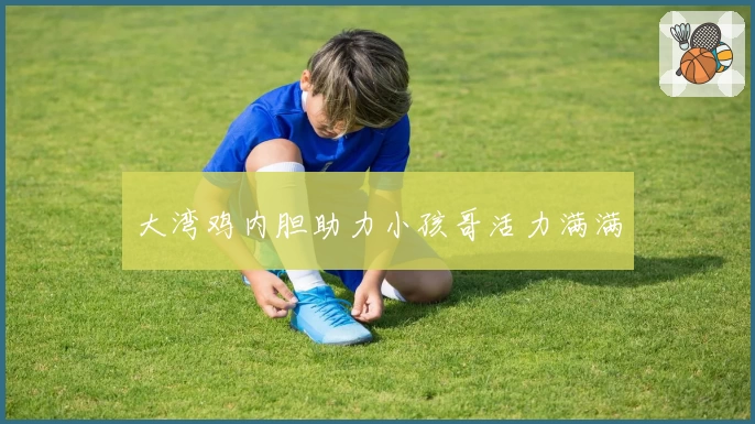 大湾鸡内胆助力小孩哥活力满满