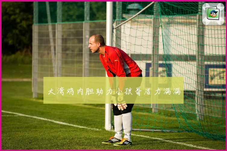 大湾鸡内胆助力小孩哥活力满满