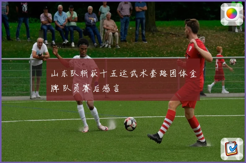 山东队斩获十五运武术套路团体金牌 队员赛后感言