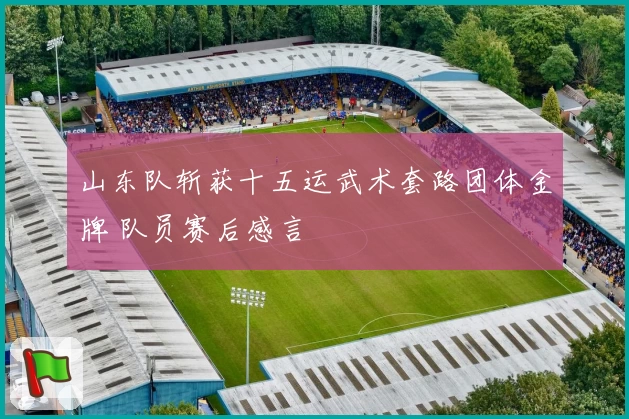 山东队斩获十五运武术套路团体金牌 队员赛后感言