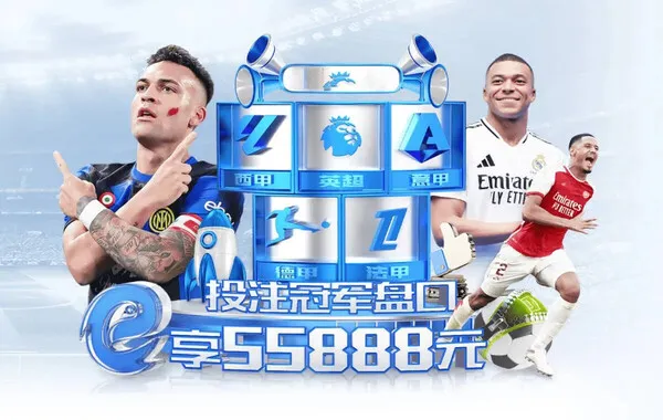 全球布局成果